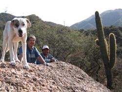 v&eacute;rtigo