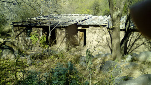 IMG_20150614_140757 copy