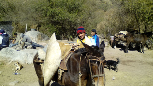 IMG_20150614_141147 copy