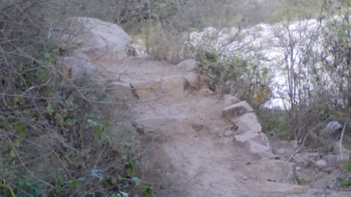 IMG_20150614_171803 copy