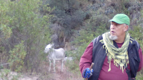 IMG_20150614_181815 copy