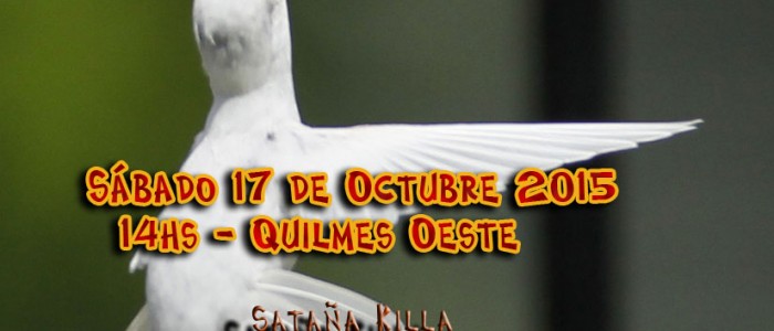 Temazcal Octubre 2 copy